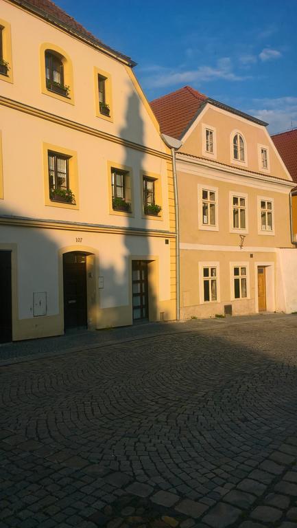 Apartmany Zatec Eksteriør billede